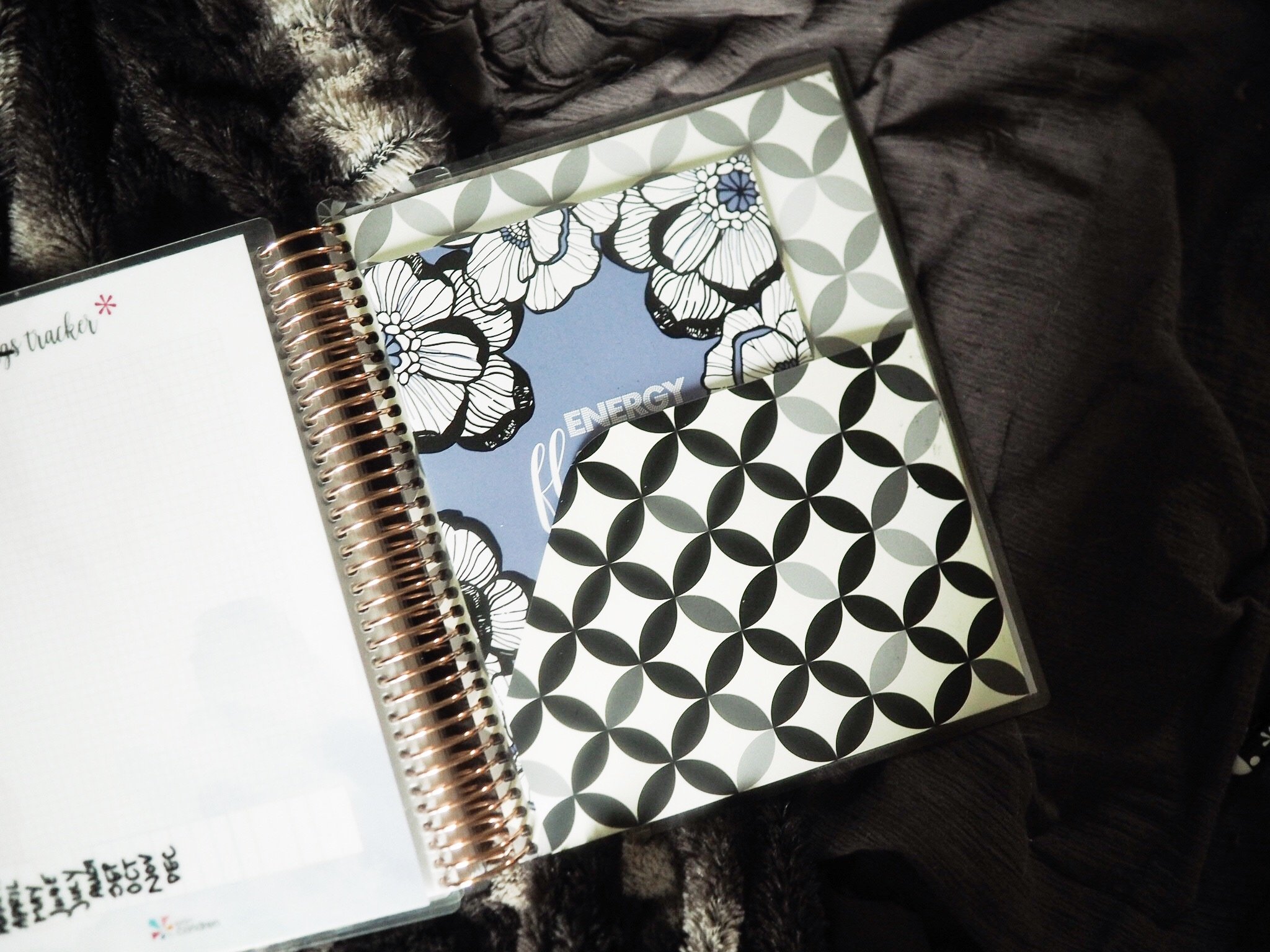 Use the Erin Condren Planner to organize your life!